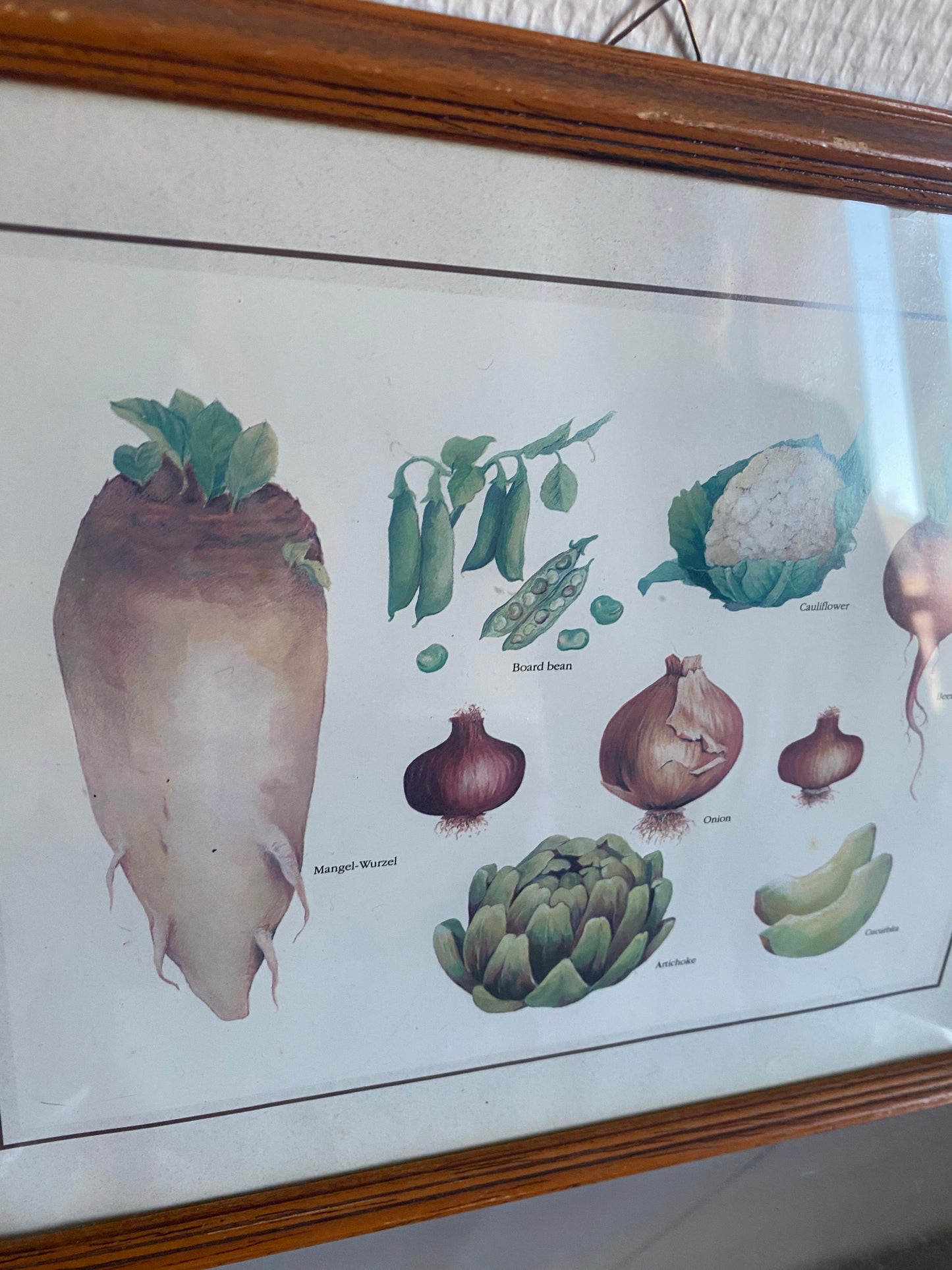 Tableau à légume
