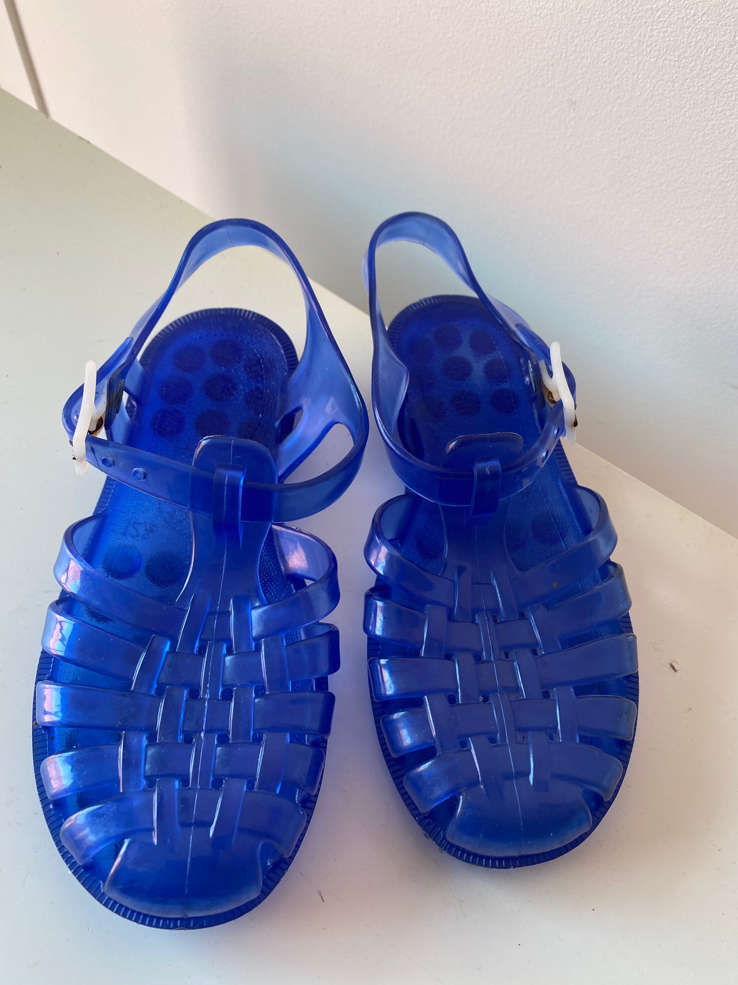 Méduse bleu