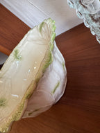 Saladier barbotine endive