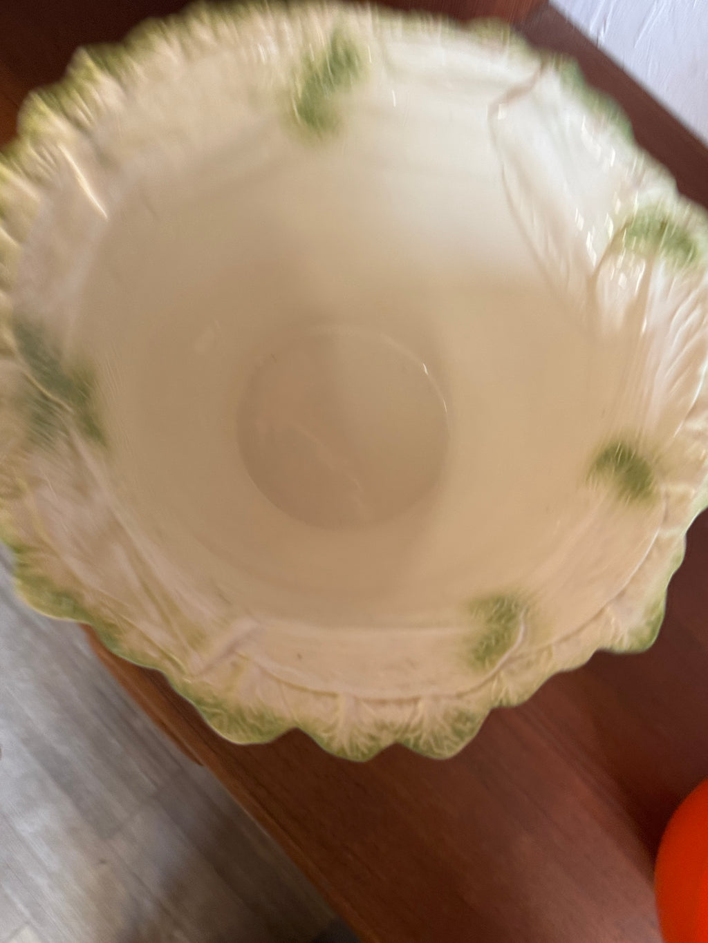 Saladier barbotine endive