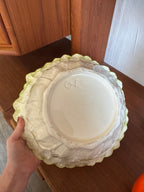 Saladier barbotine endive