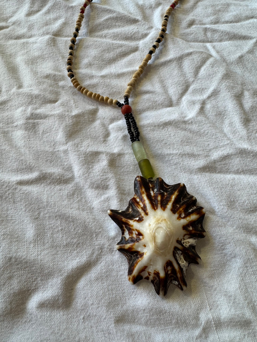 Collier coquillage