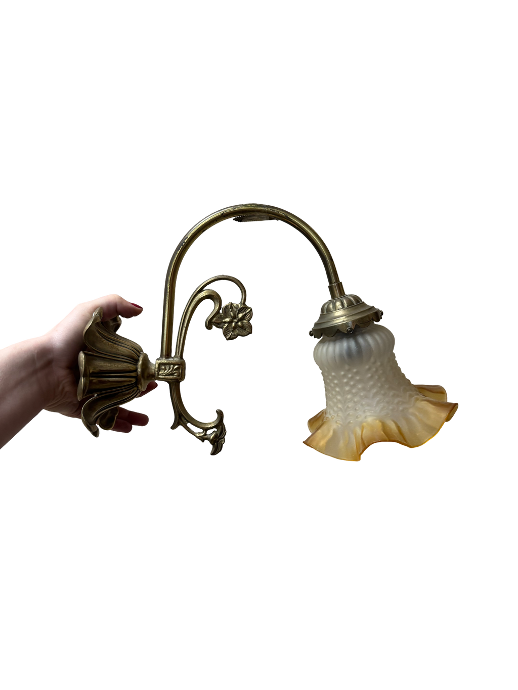 Applique murales tulipe