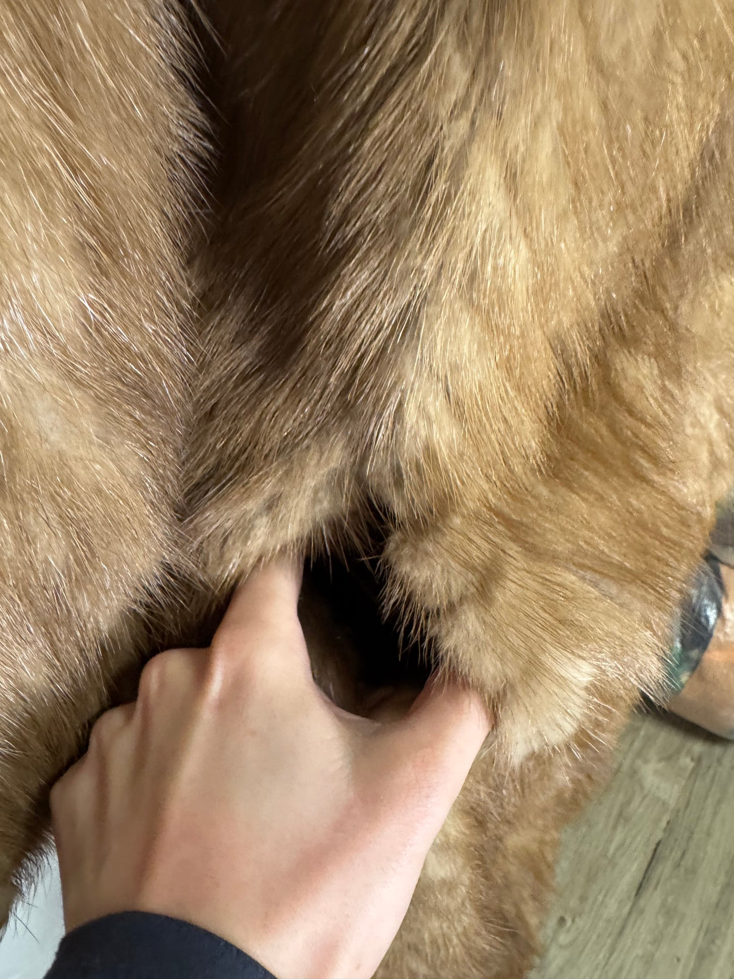 Manteau en fourrure de vison