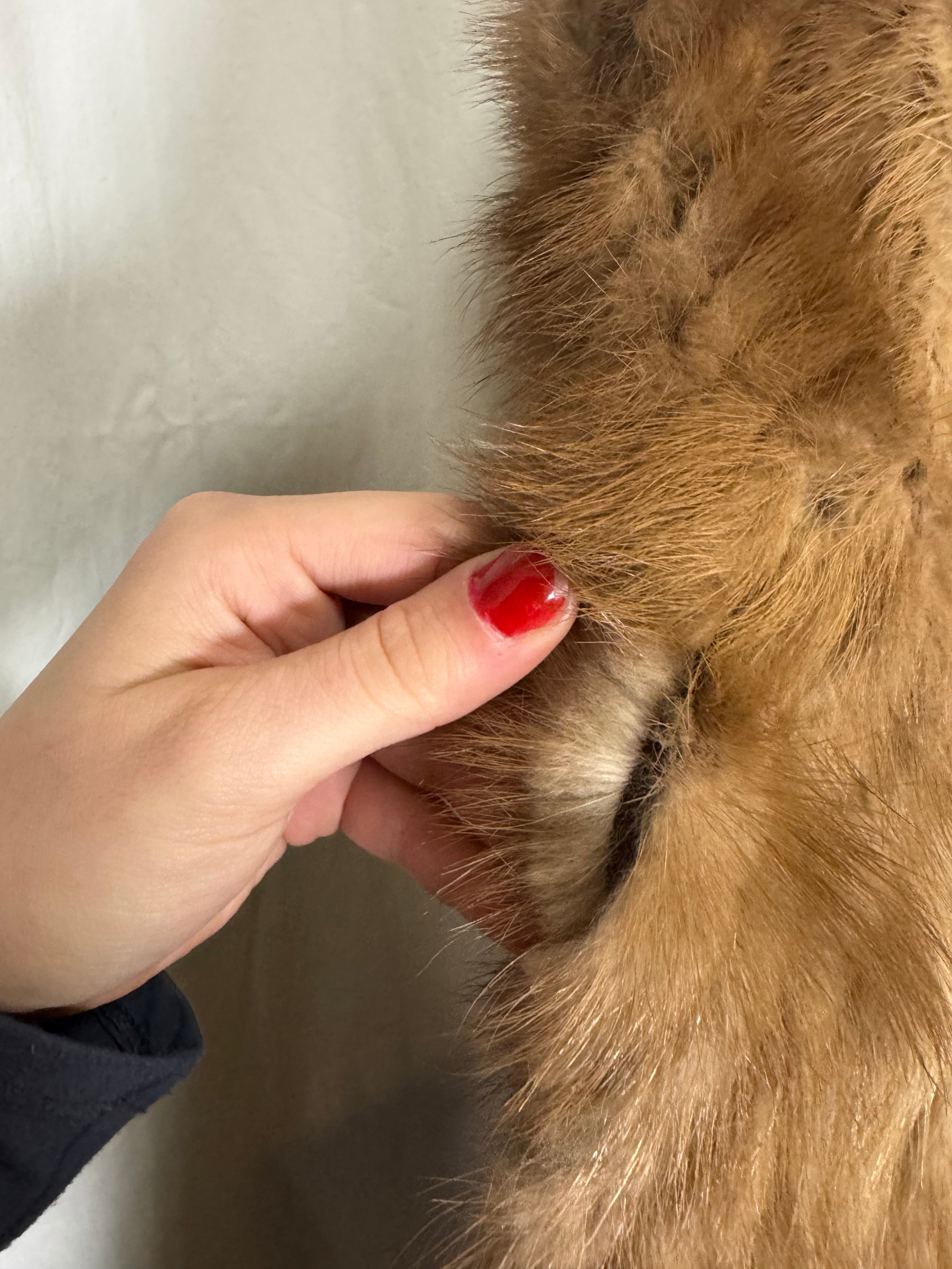 Manteau en fourrure de vison