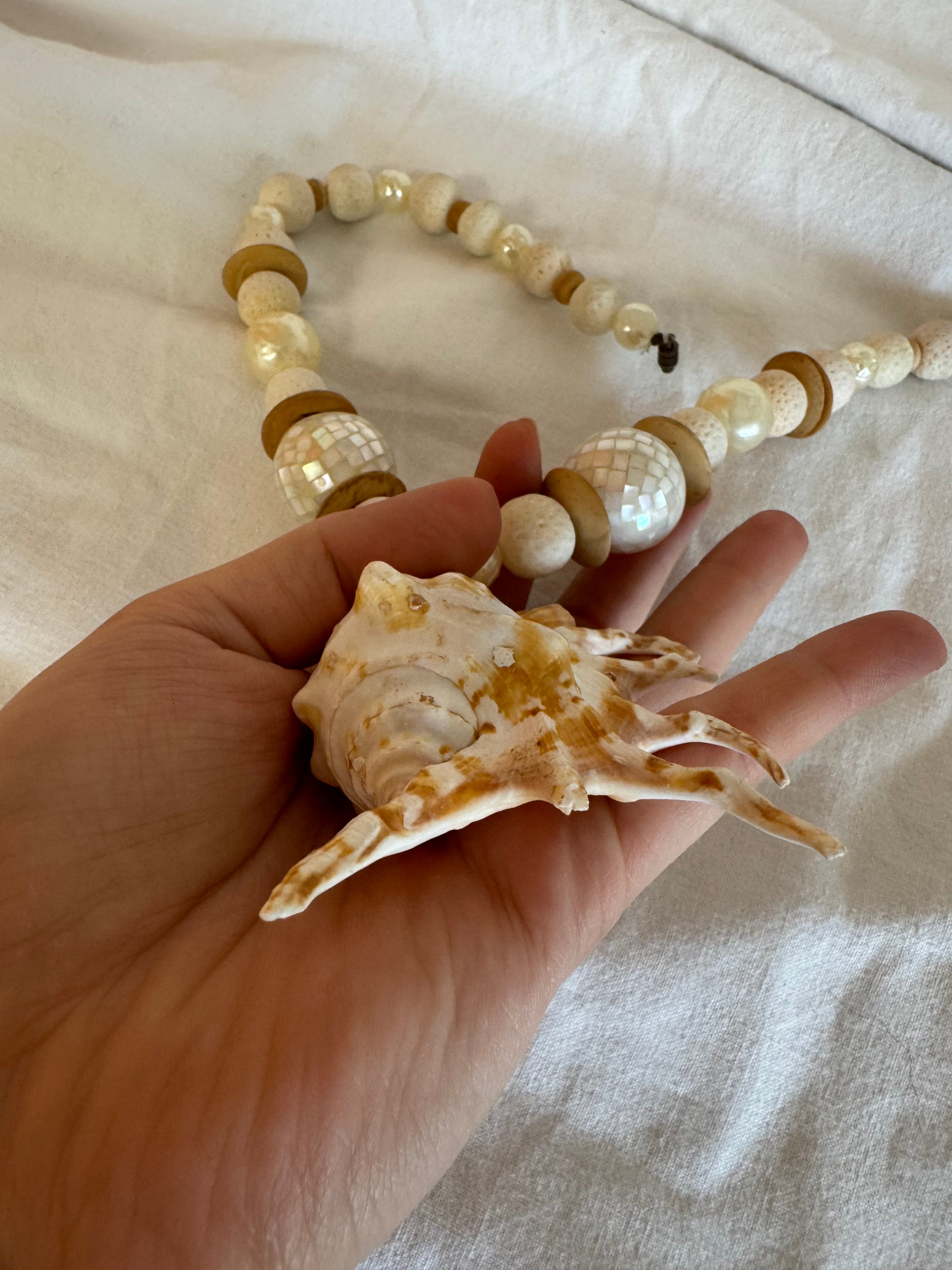 Collier coquillage