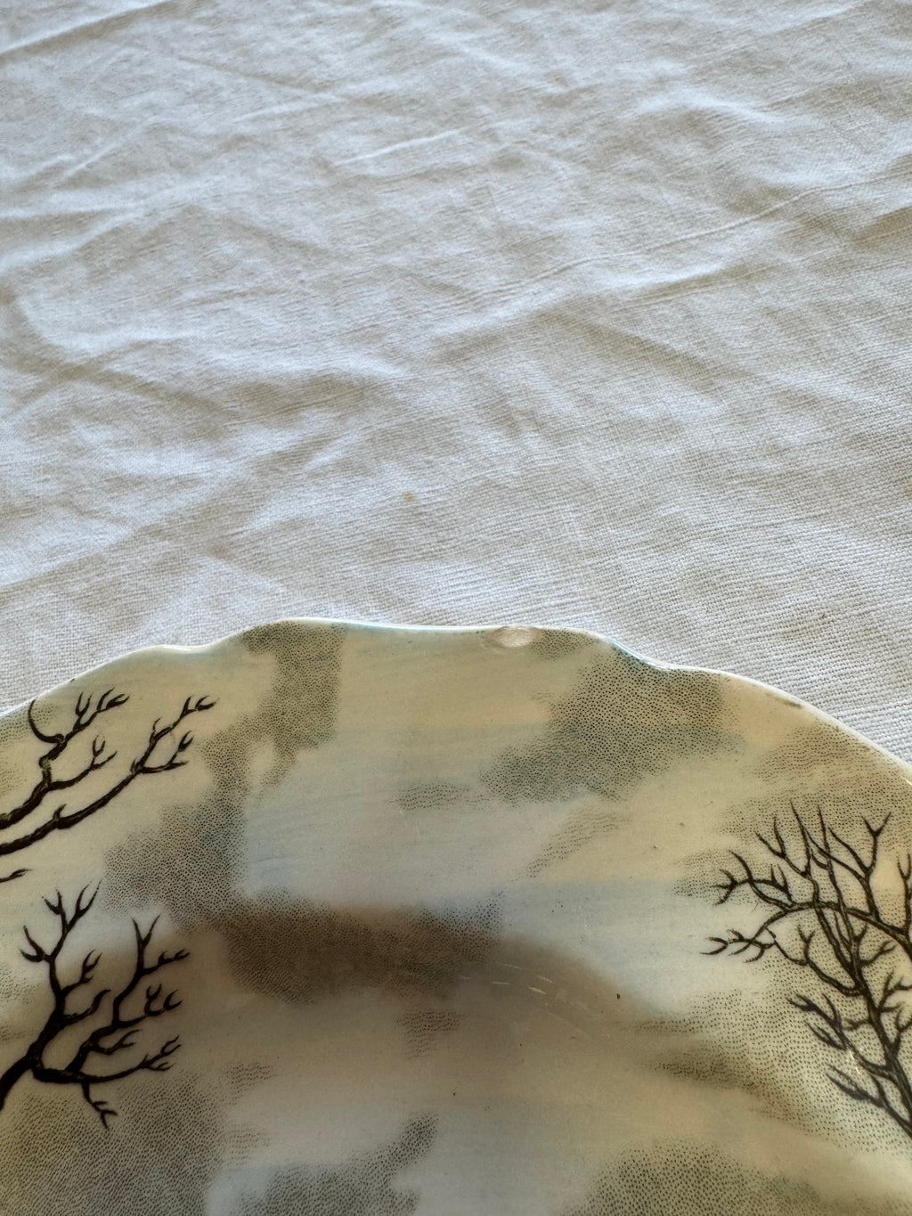 Assiettes plates anglaise