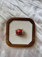 Broche coccinelle