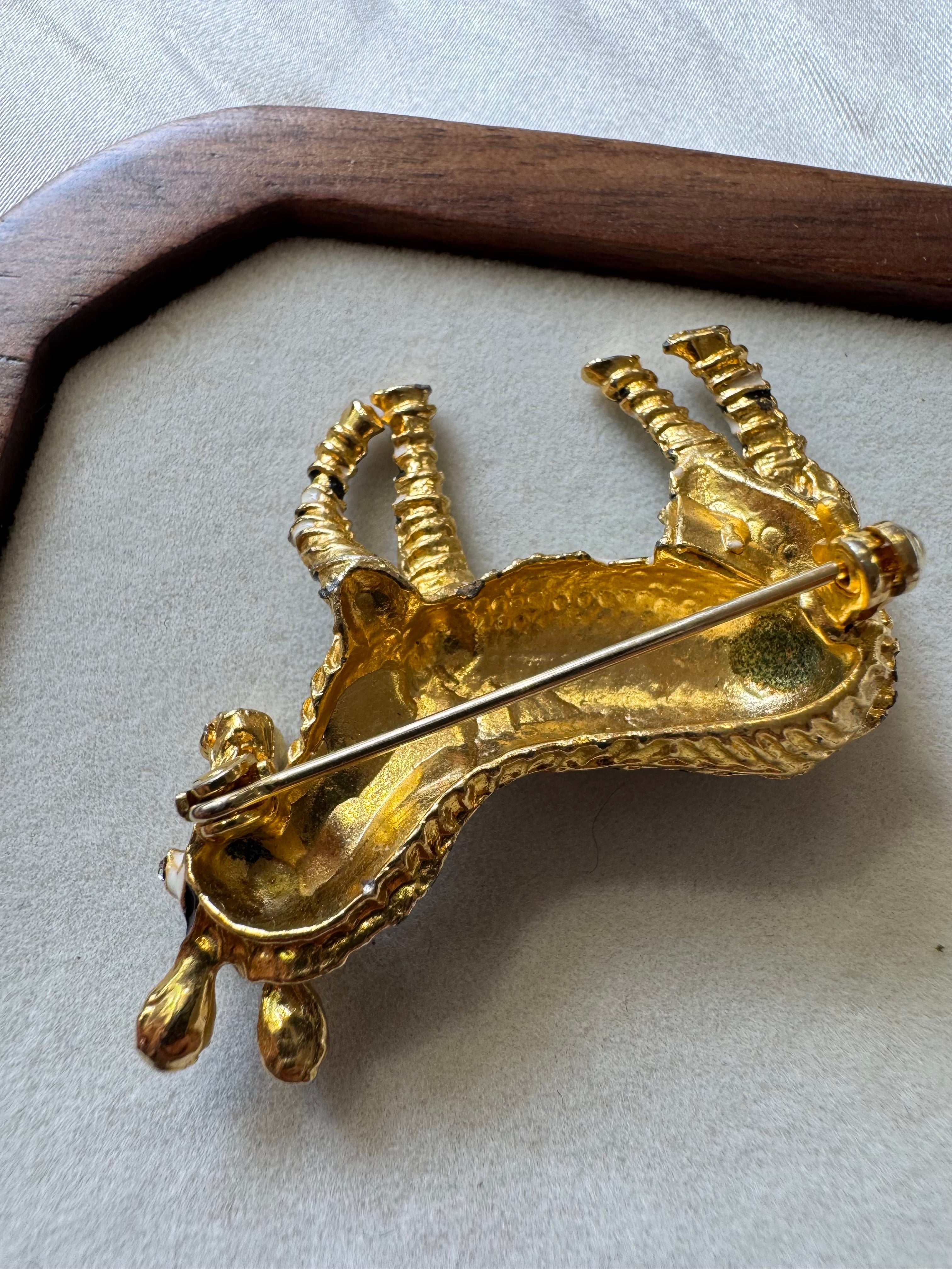 Broche zèbre