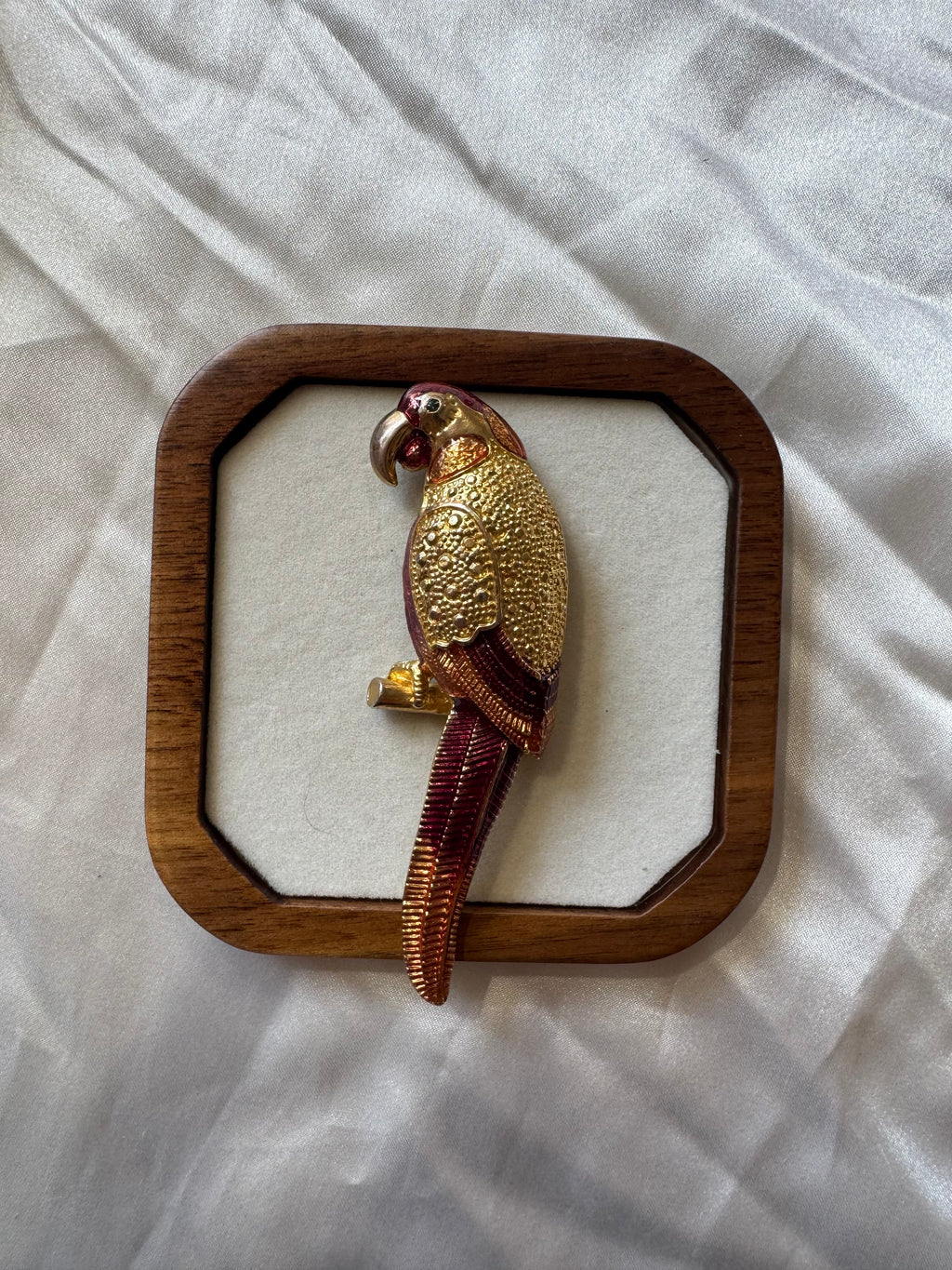 Broche perroquet