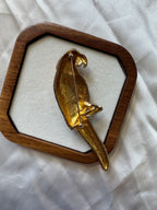 Broche perroquet