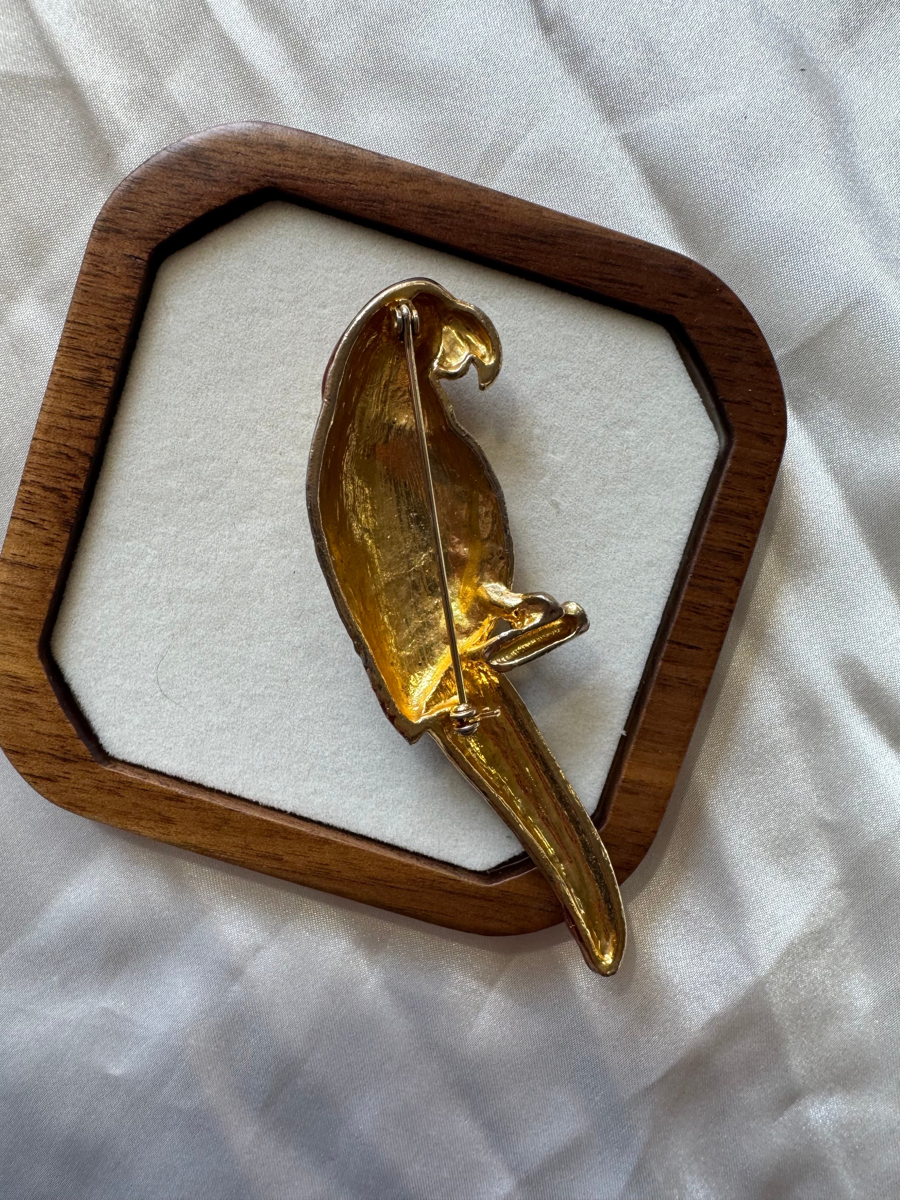 Broche perroquet