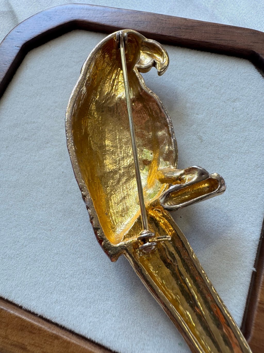 Broche perroquet