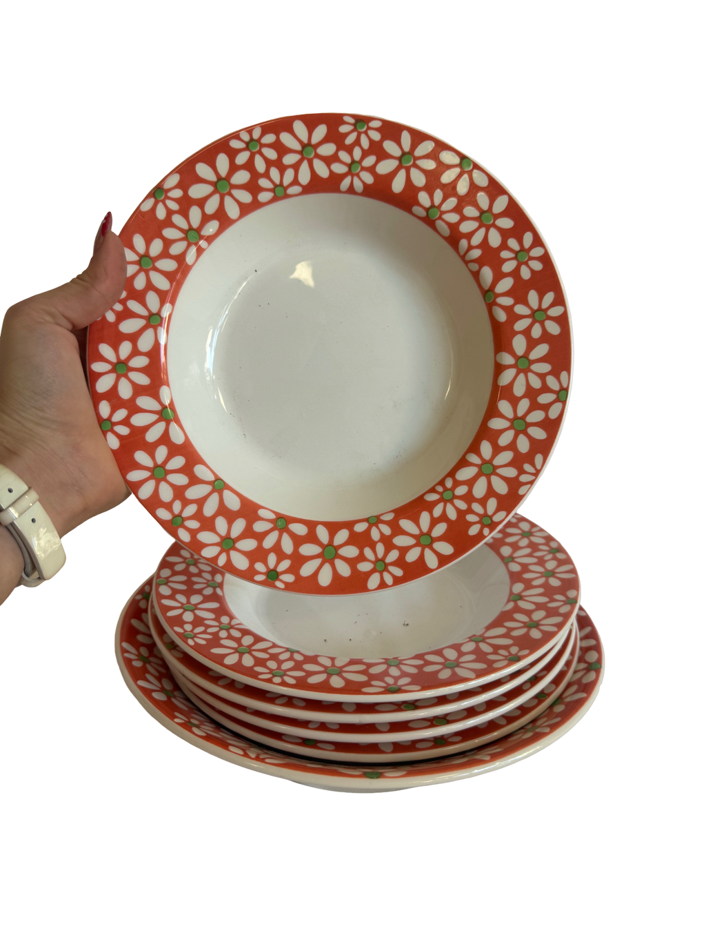 Assiettes et plat à fleurs rouge