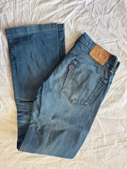 Jean Levis 527