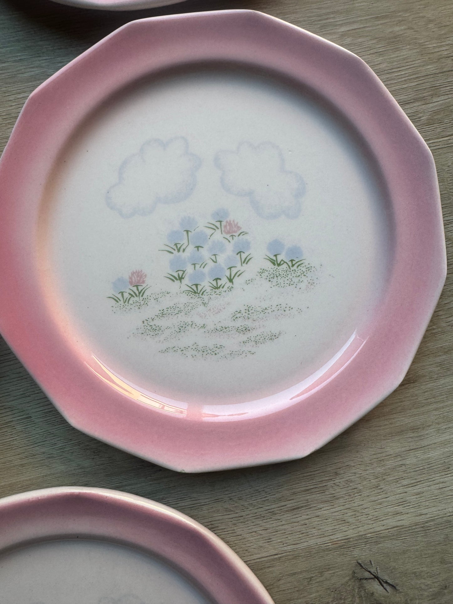 Assiettes à motif fleuri