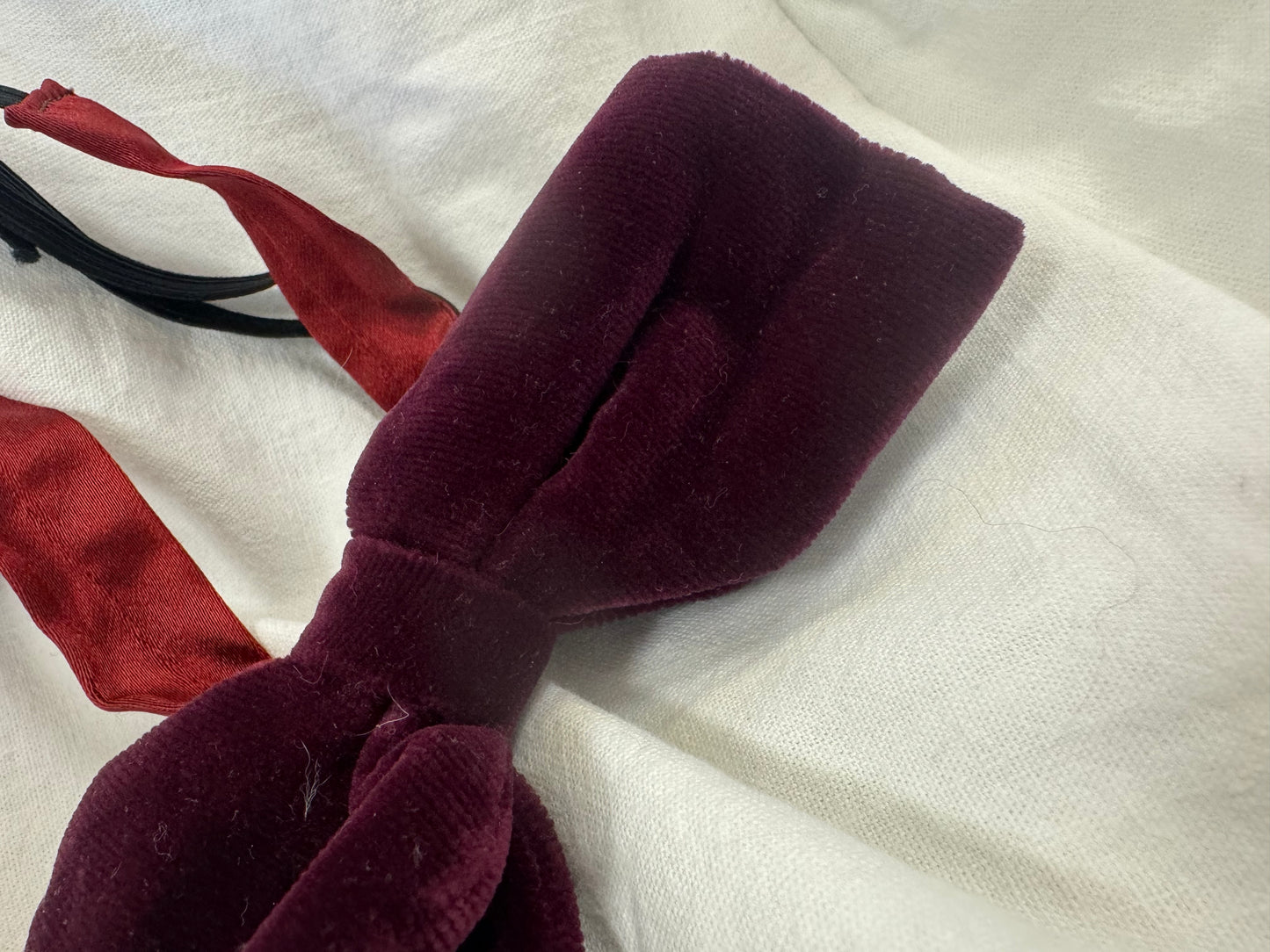 Noeud papillon en velours