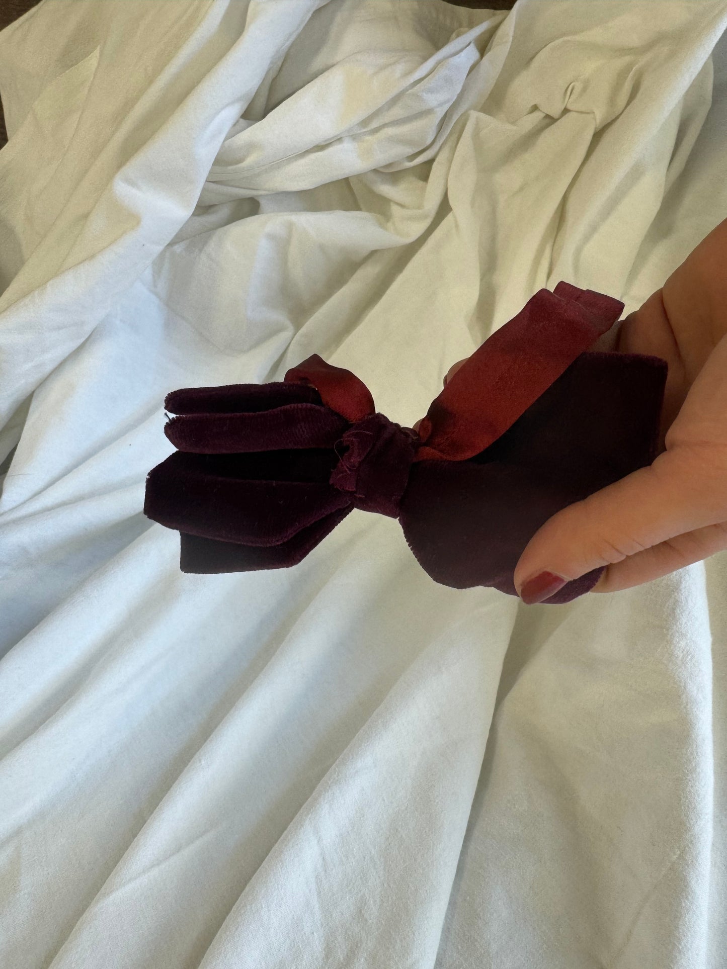 Noeud papillon en velours