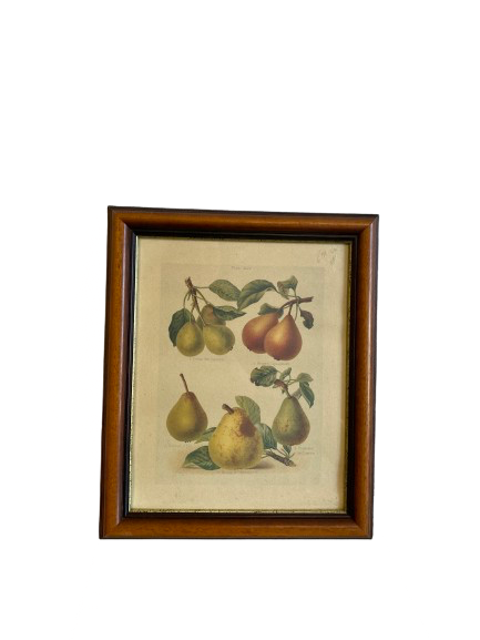 Tableau à fruit