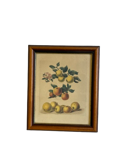 Tableau à fruit