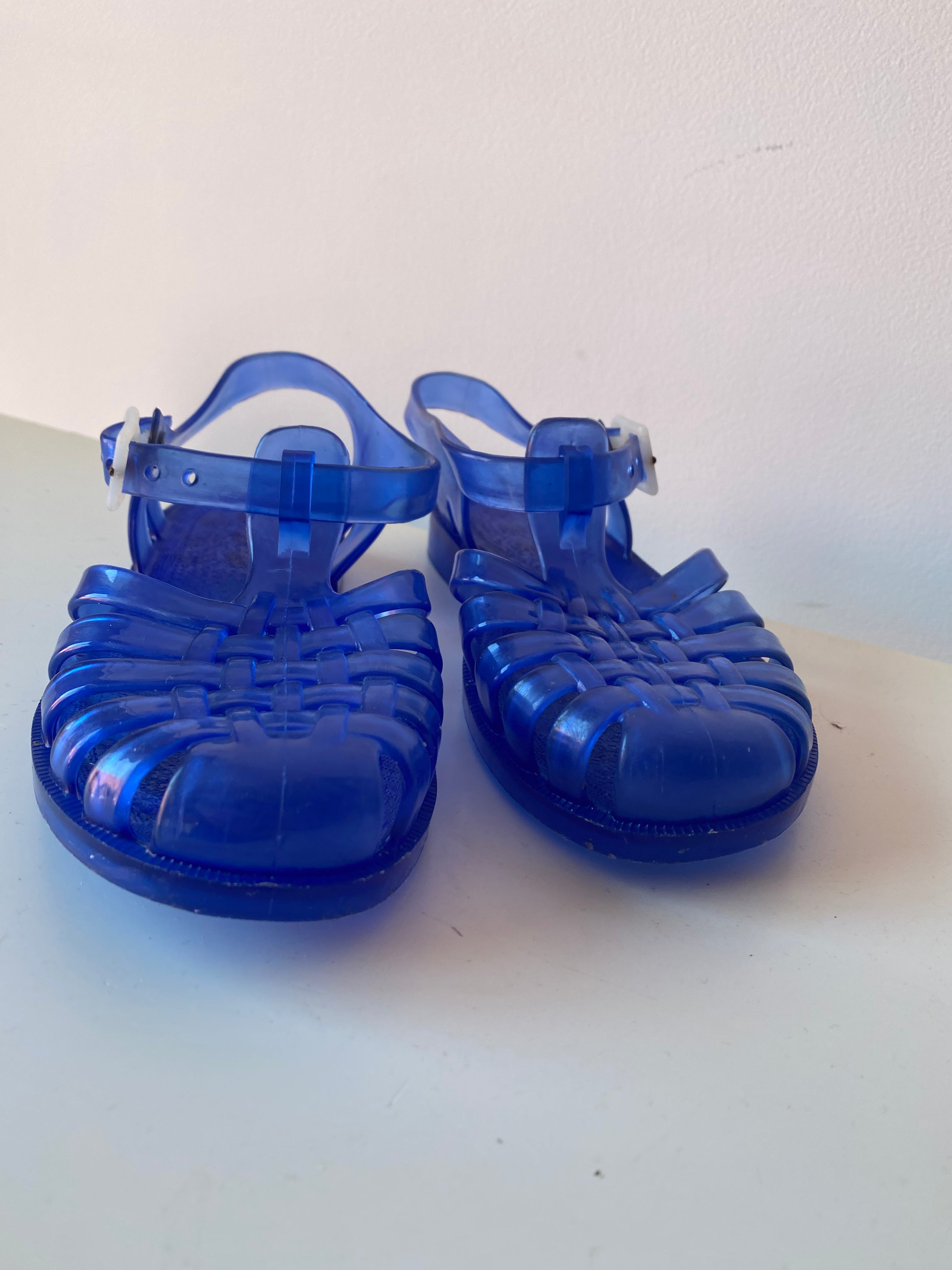 Méduse bleu