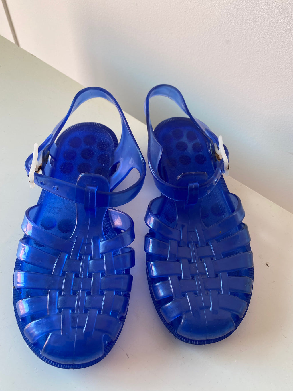 Méduse bleu