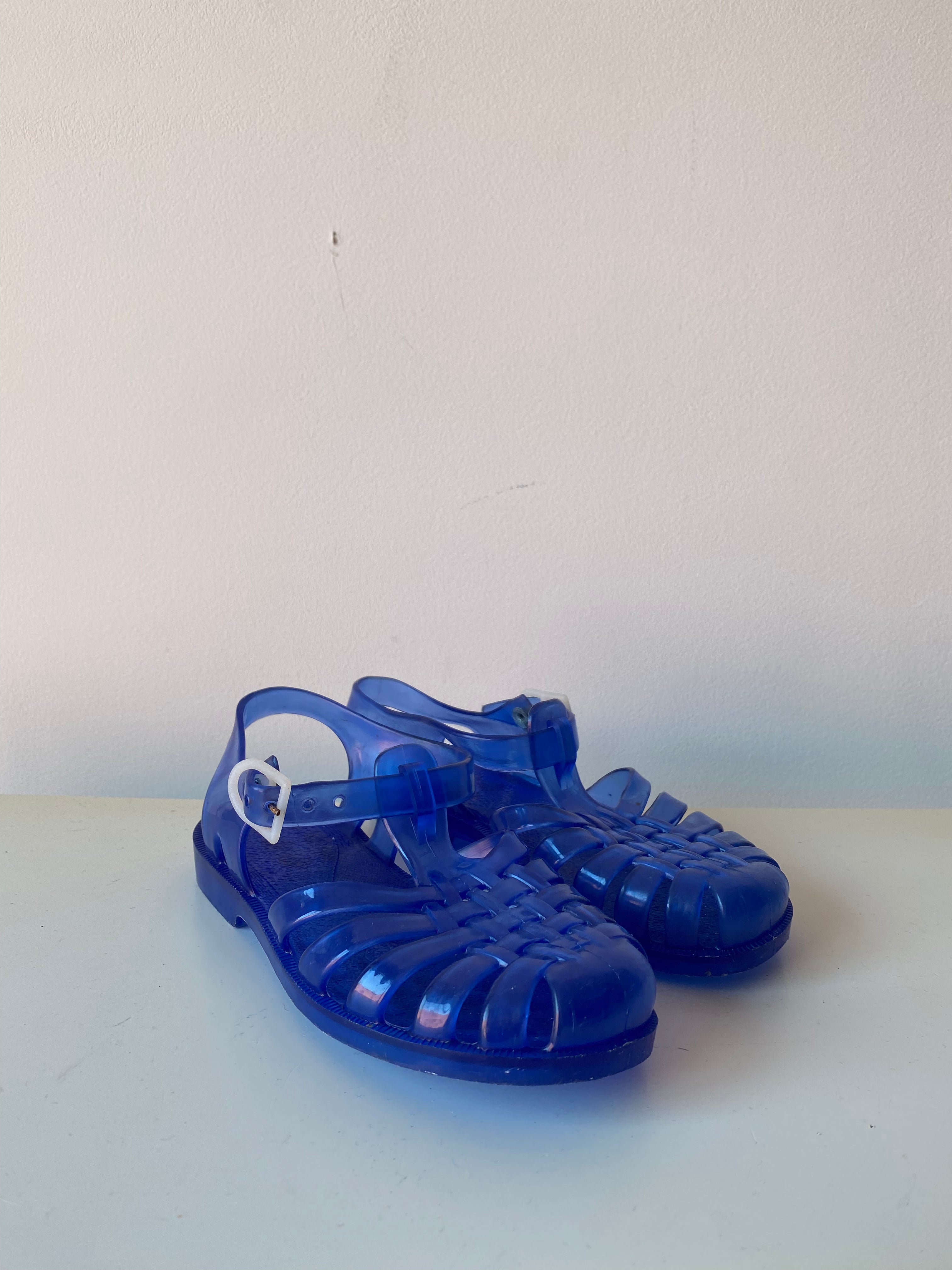 Méduse bleu
