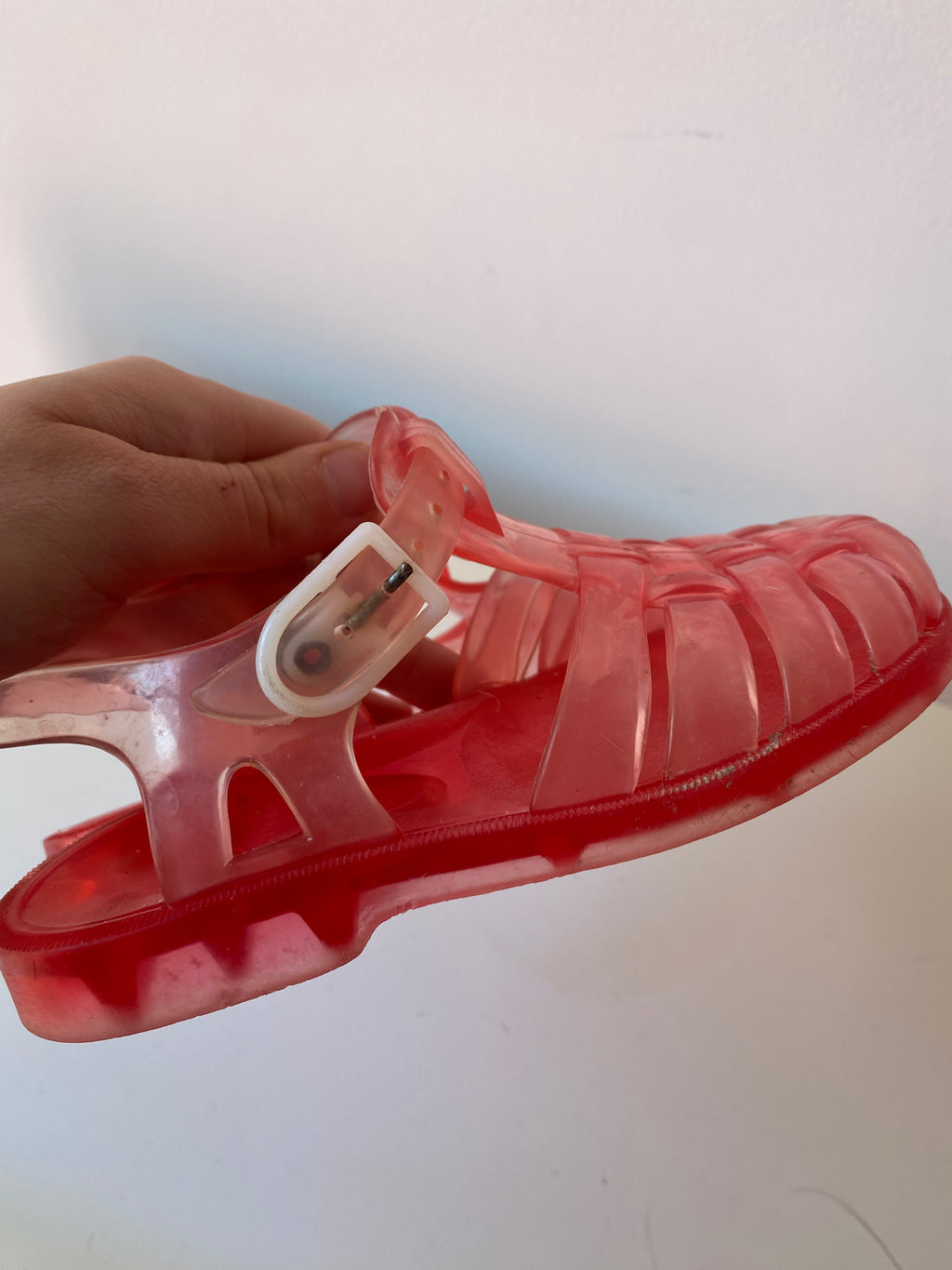 Méduse rouge