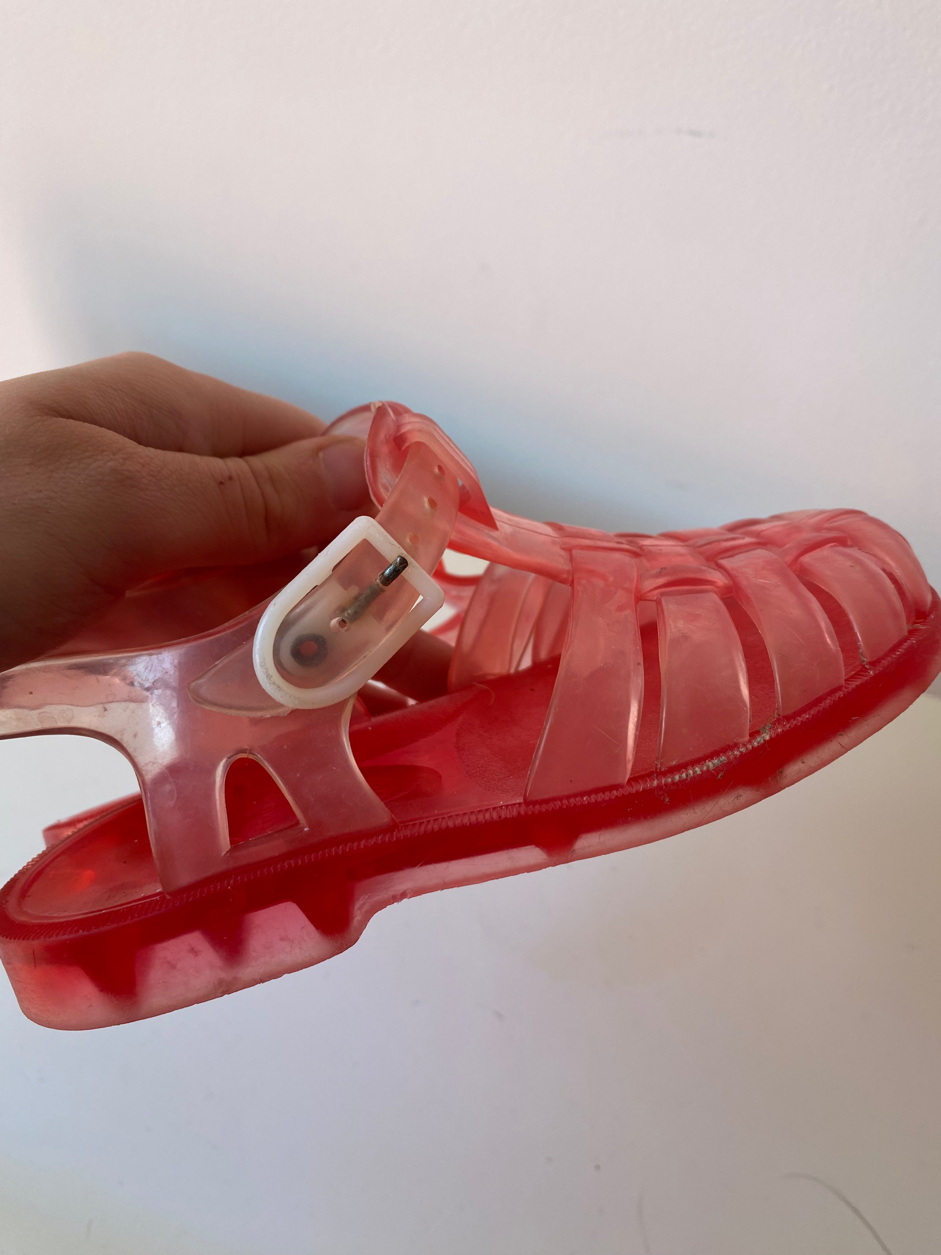 Méduse rouge